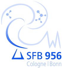 Enlarged view: SFB956 Logo